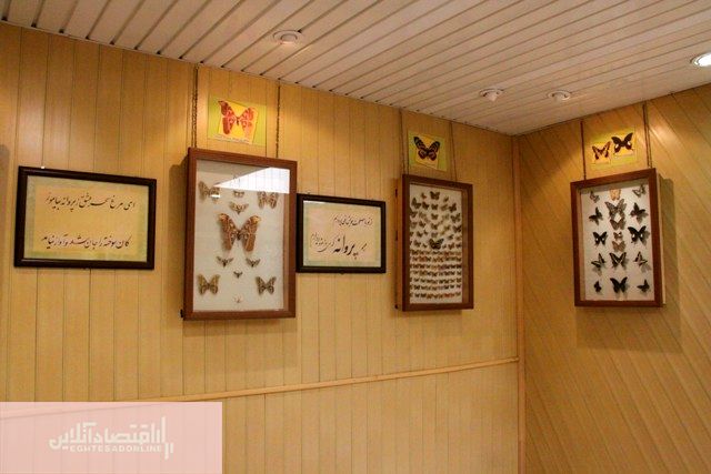 باغ موزه پروانه ها